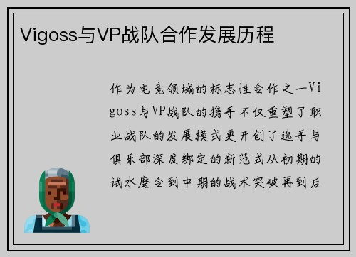 Vigoss与VP战队合作发展历程