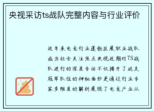 央视采访ts战队完整内容与行业评价
