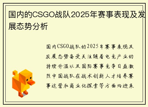 国内的CSGO战队2025年赛事表现及发展态势分析